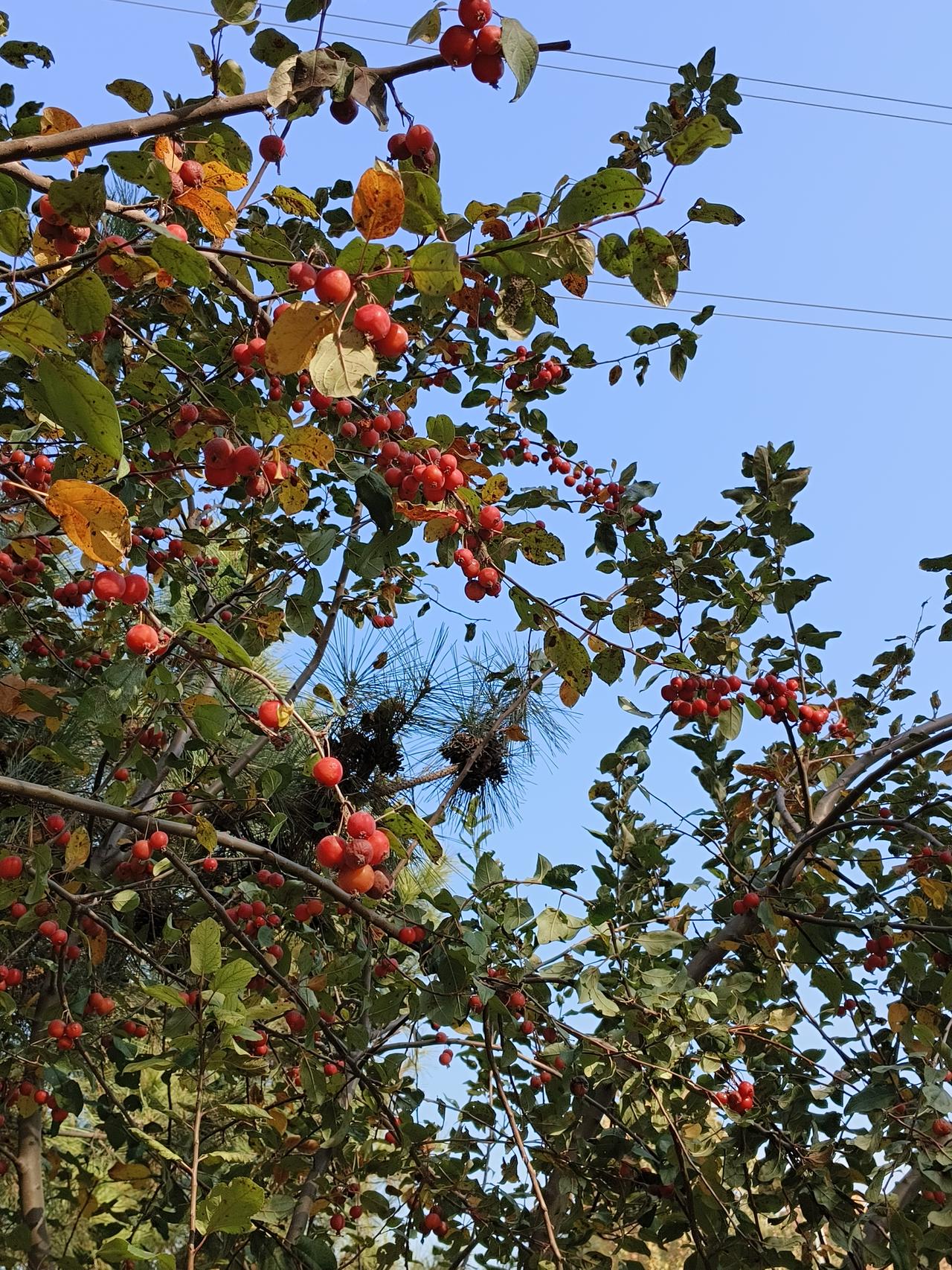 我路过冬天，路过风，
路过时光暂时的家。
也许你不会觉得这房子有什么特别。
像春