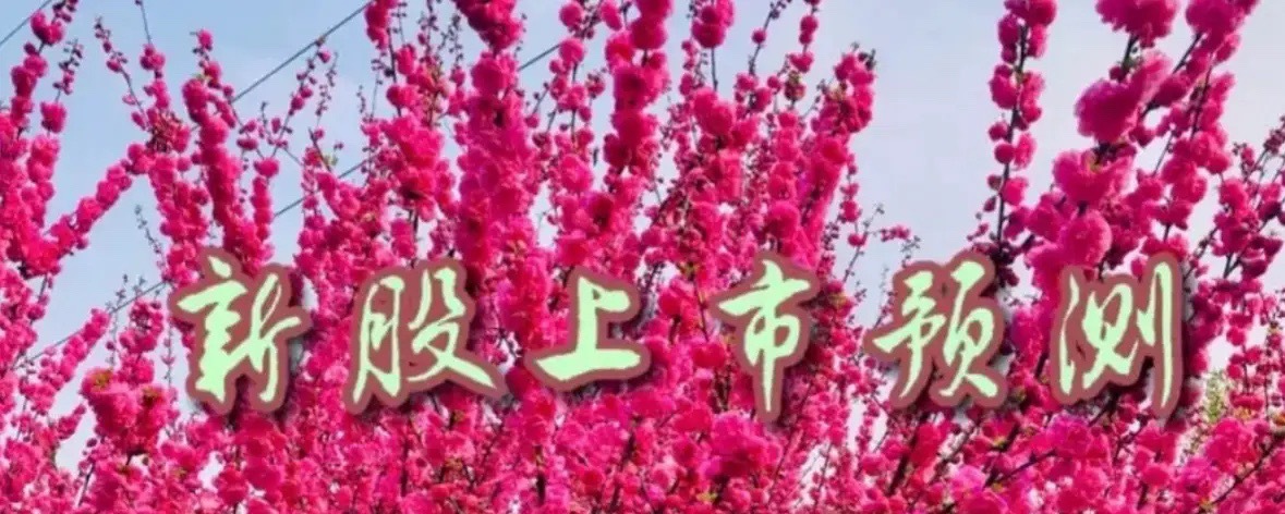 吉和昌上市价格预测吉和昌公开发行的2800.00万股股票，将于2026年7月2日