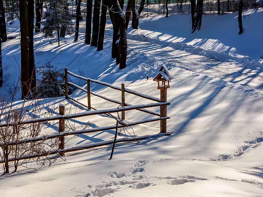 雪落无声处，
人来有水方。
横批：《无声与有水》