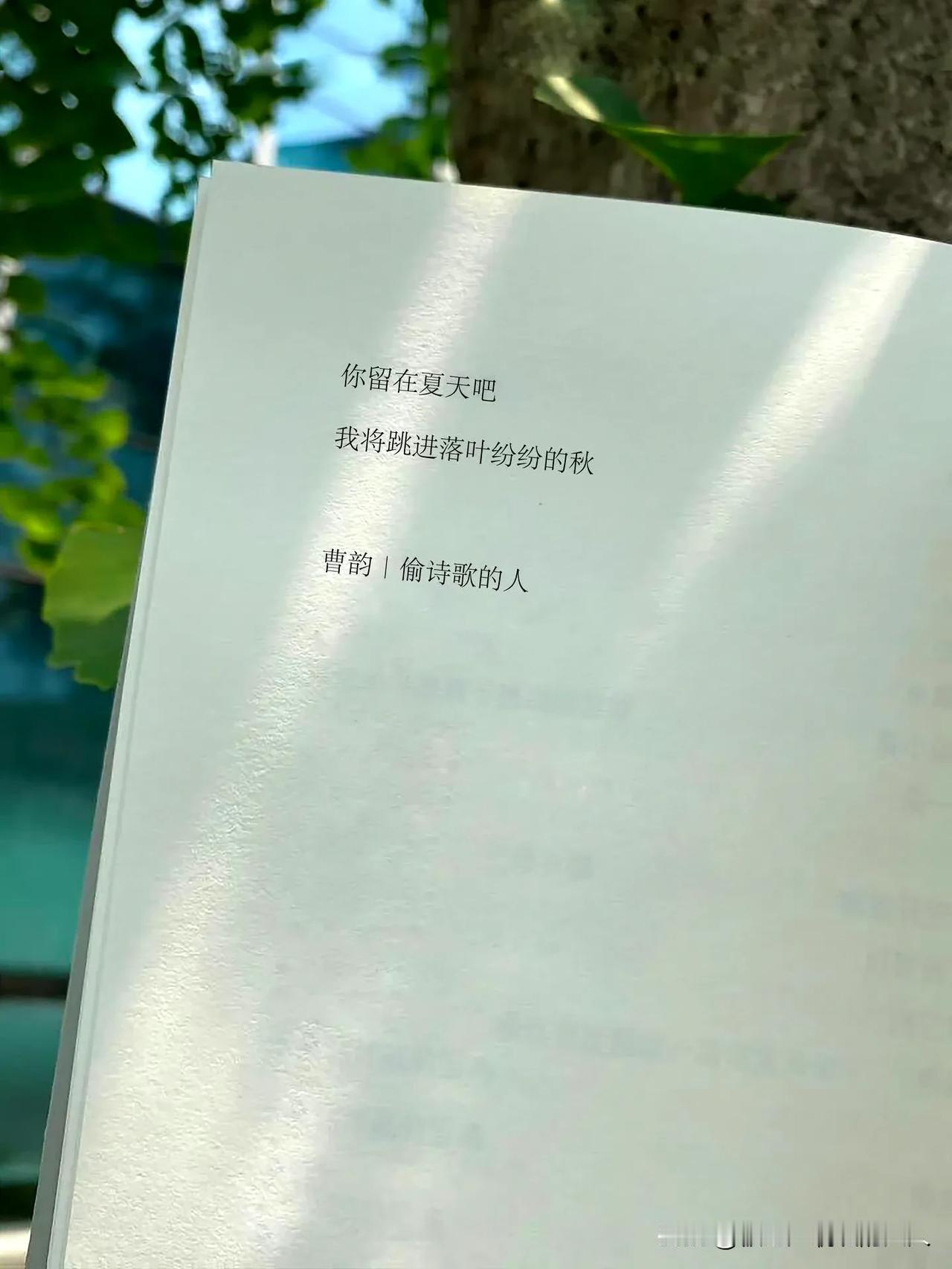 #立秋第一个惊喜# #立秋时间真快啊#