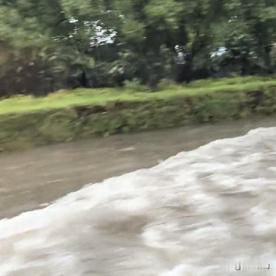 白海豚撞上冷空气白海豚怎么还不走啊！我们这里已经下一天的大雨了，部分低洼地段已经