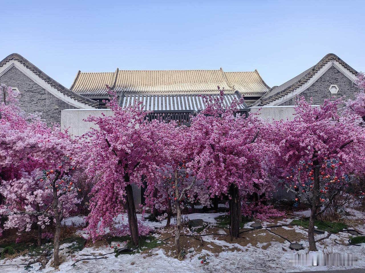天天围着老妈转，不是去医院就是做饭，今天我得出去放放风。

因为是周末，所以早晨