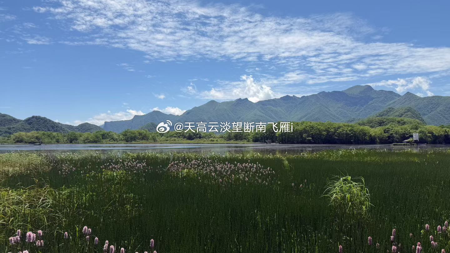 各位财迷周六上午好看了眼现货黄金 收盘价最终是定格在4081一线！！现在大家最关