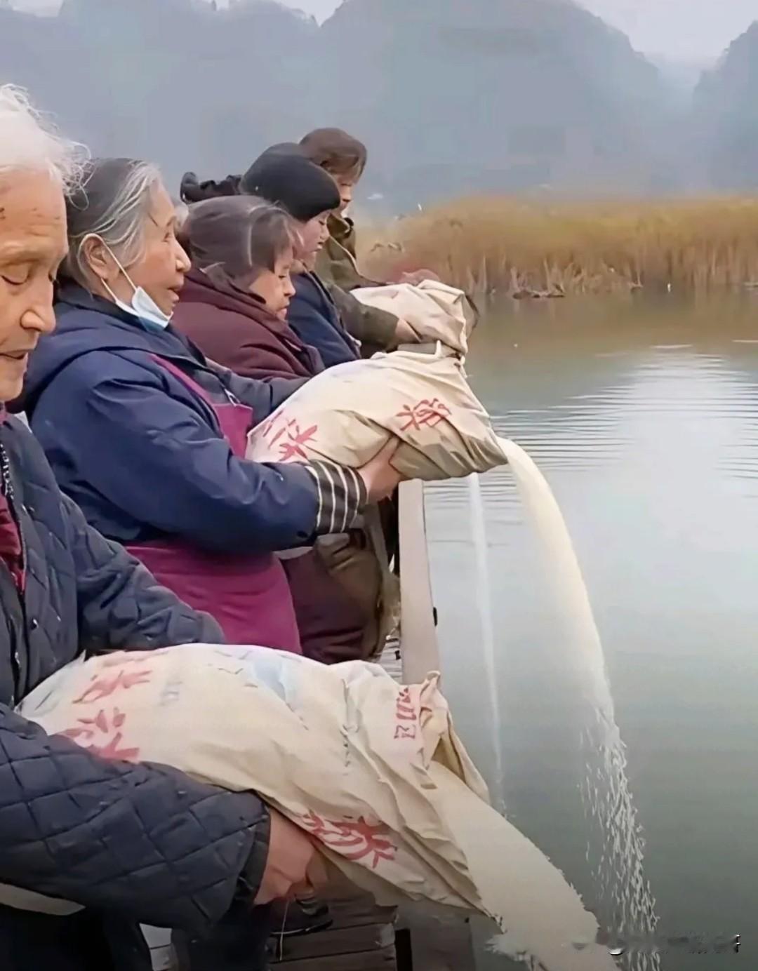 所谓“放生”本是善意，却变成了浪费的借口，既违背公序良俗，还可能破坏海洋生态。粮