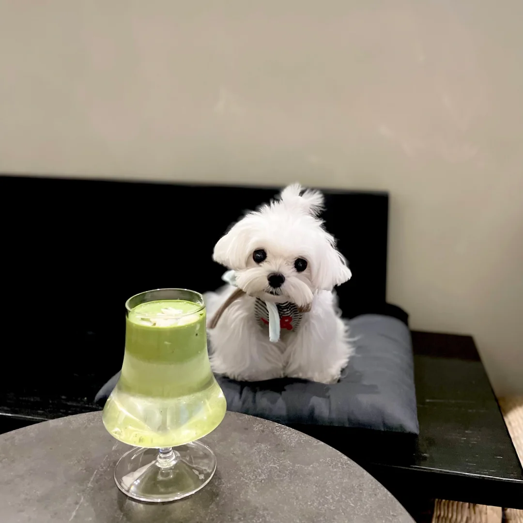 让我看看怎么个事