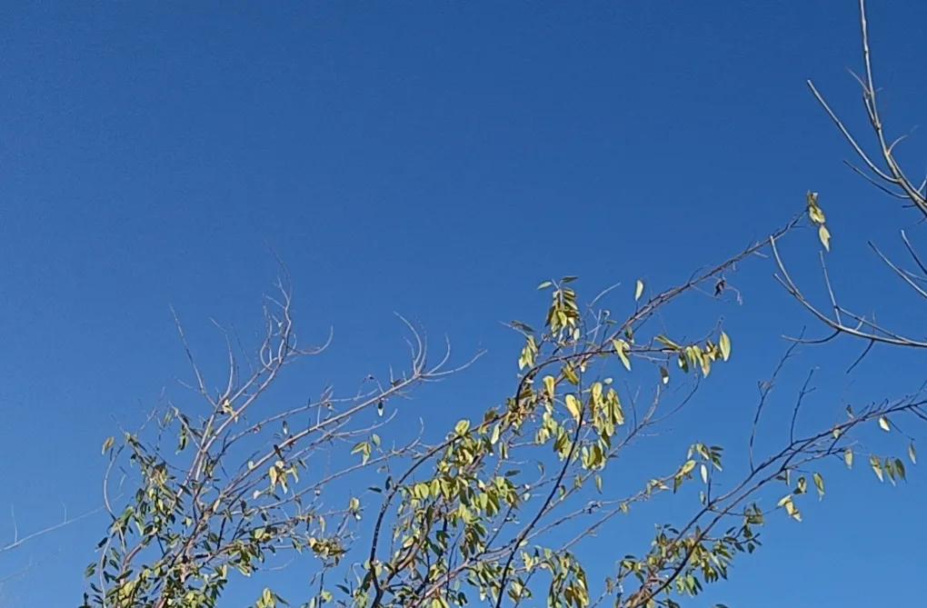 让专家有空发挥余热，多生几个孩子吧，这样一来，他们的孩子就可以继承父业，继续当那