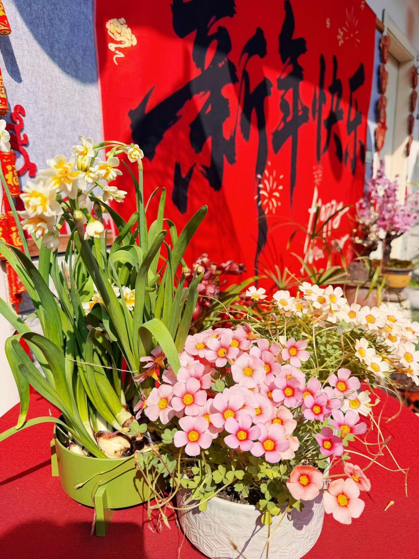 一缕茶香，悠悠袅袅，从古朴的茶盏中升起，带着岁月的沉香，弥漫在城市的每一个角落。