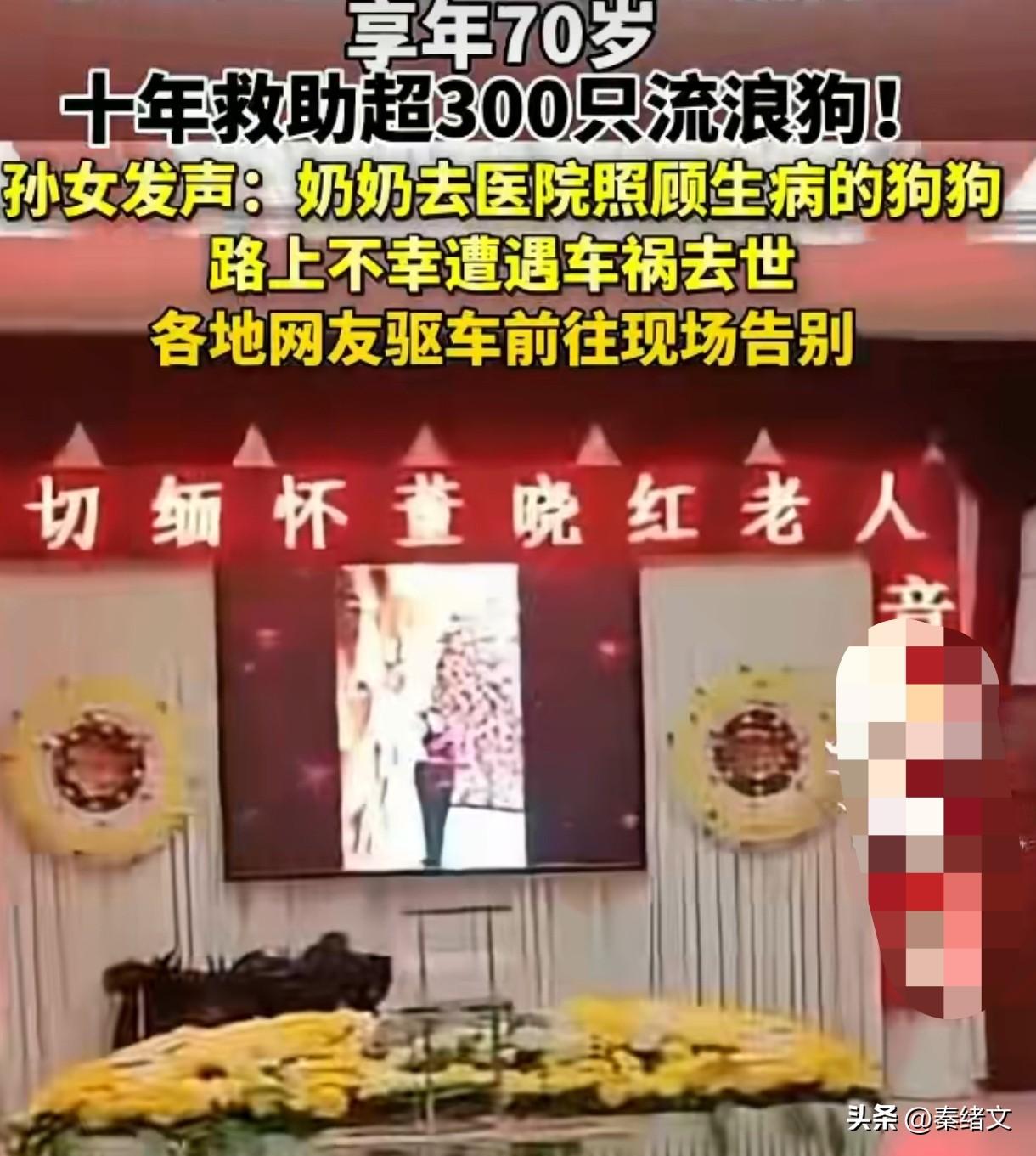 痛心！71岁董晓红车祸离世，十年收养400只流浪狗，各地网友驱车送别
 
新疆昌