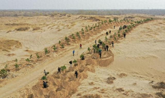 隔壁蒙古国那铺天盖地的漫天黄沙，正顺着风口一亿吨接着一亿吨地往咱们家门口灌，中国