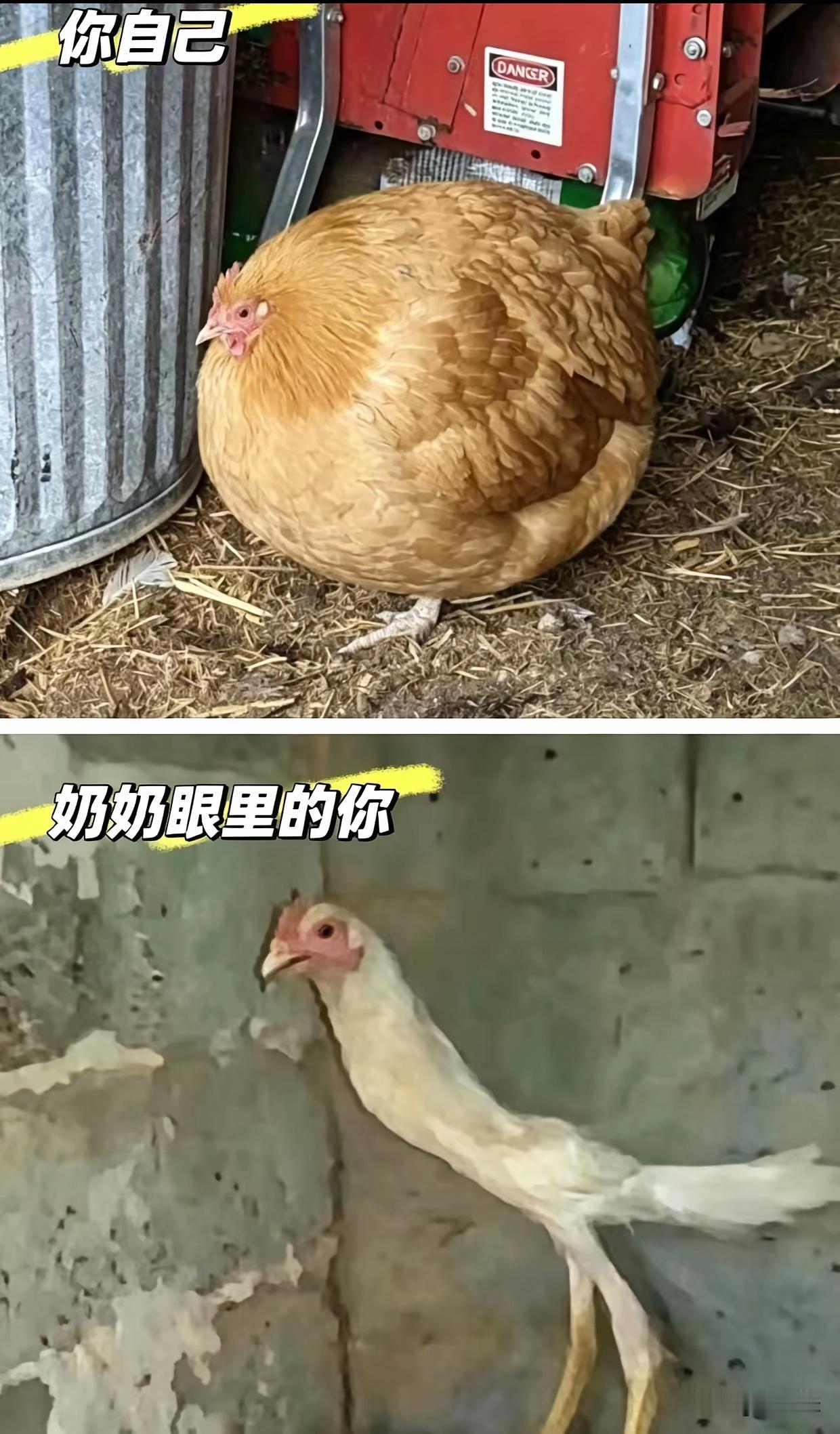 太真实了[呲牙]