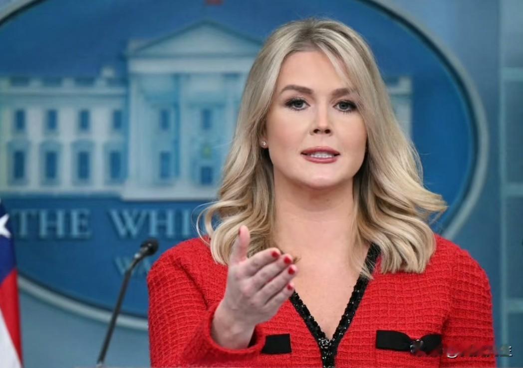 就在刚刚
白宫发言人莱维特宣布了

11月26日白宫记者会上，发言人莱维特对外释