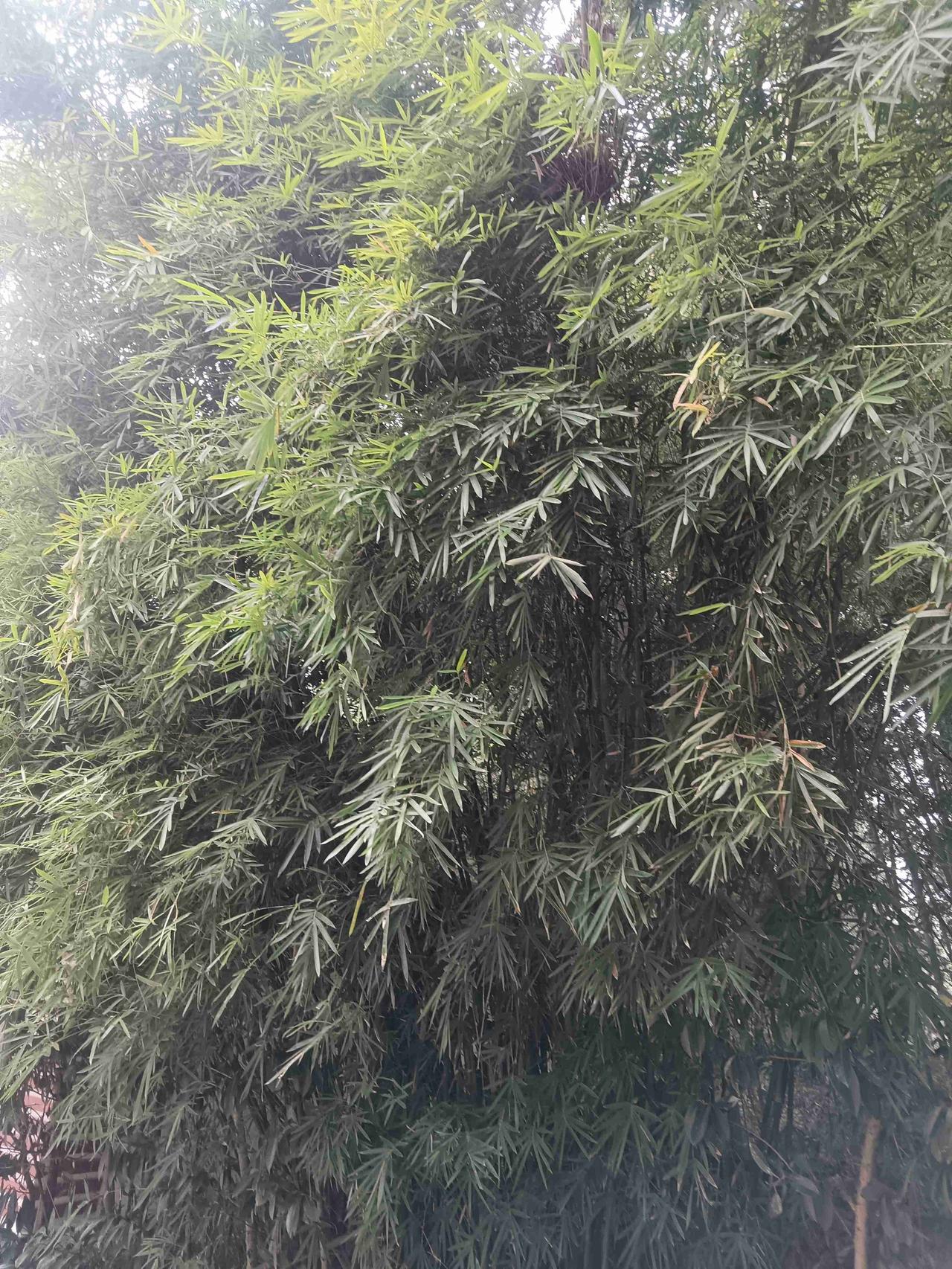 我的今日状态：😁轻松愉快
我这里的天气：🌤️多云