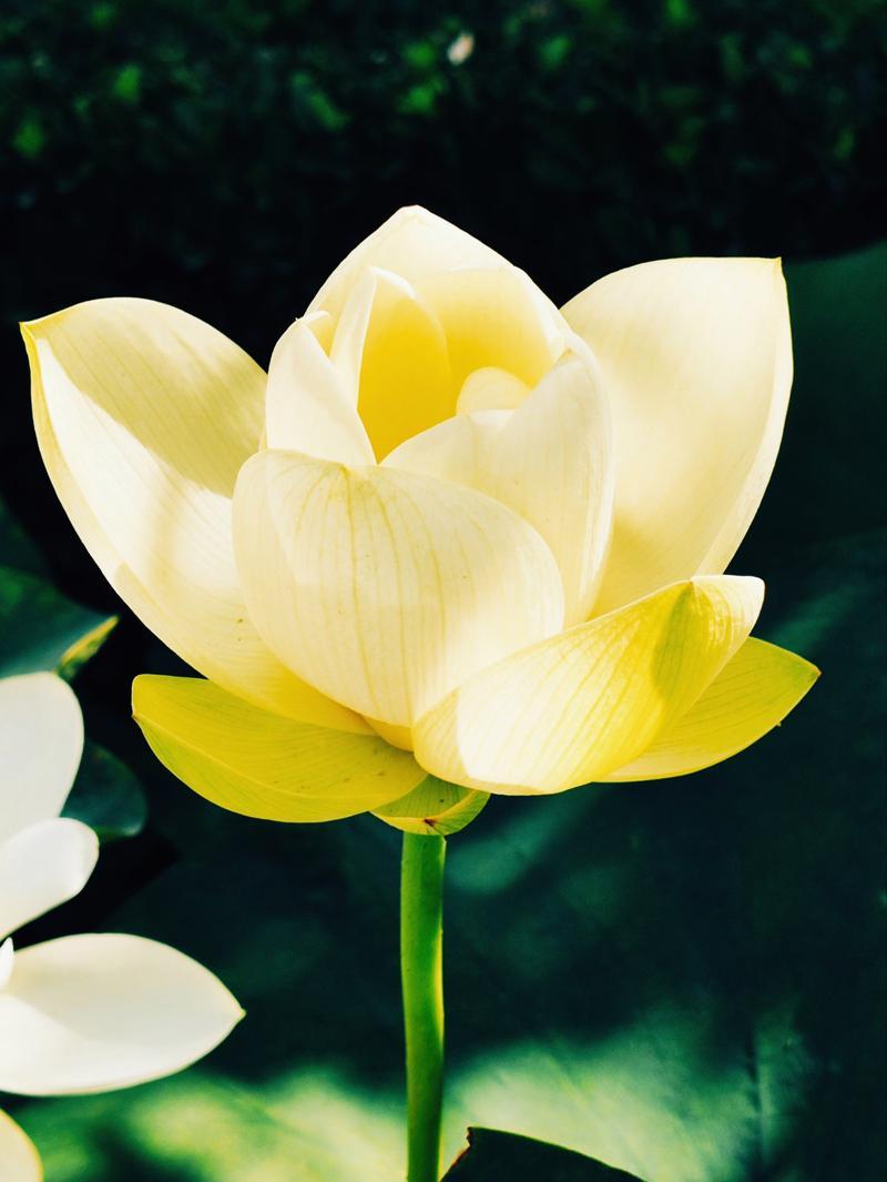 我发现头条几乎超过一半的文章都是用AI写的。这话可能有点夸张，但当你点开一篇篇看