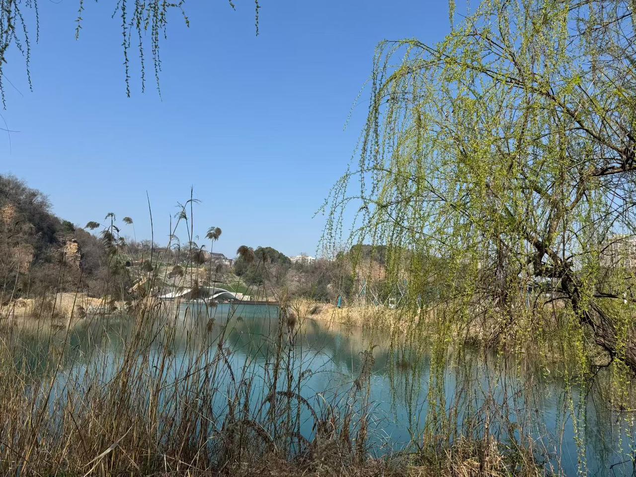 随手拍一张天空照柳丝垂着新绿，在湖面上蘸出春天的笔迹，蓝天为纸，澄澈的水色里，盛