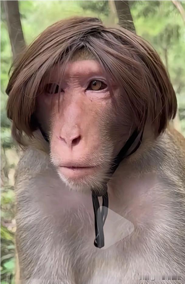 看她这不屑一顾，目空一切，轻蔑的表情。