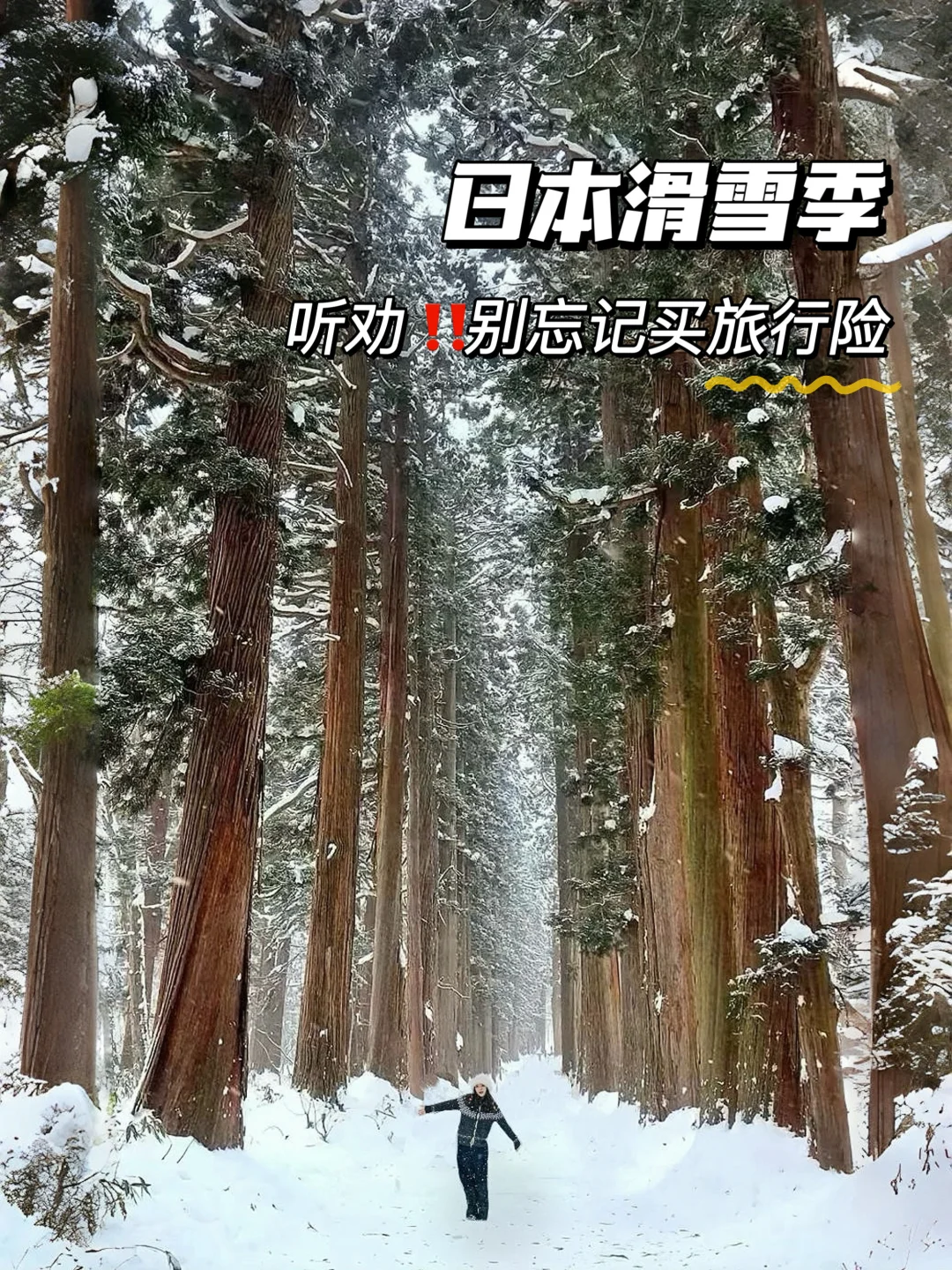 秋冬季去日本旅行，记得买旅行险‼️