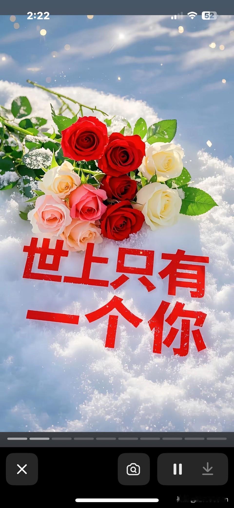 情深深雨蒙蒙
千山万水喜相逢
有你陪我陶醉
蜜蜂围着蝴蝶飞
山再高水再远
跋山涉