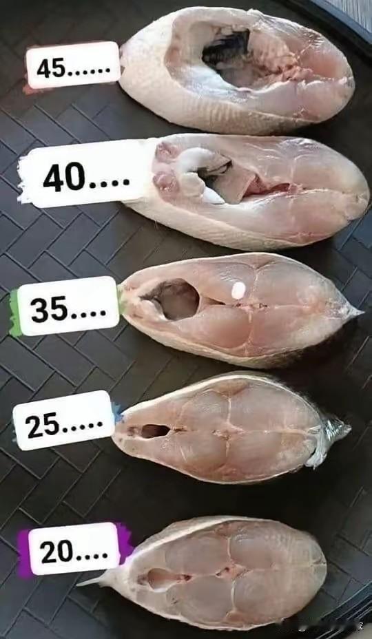 你们看这价格表，尾巴才20块，是整鱼里最便宜的，却是我的心头好！
 
✅全是厚实