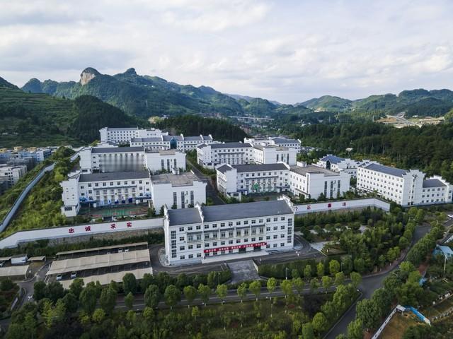 贵州省内共有三家民营控股的A股医药上市企业，它们都专注于民族苗药、医药流通等本土