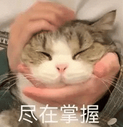 前秦最优秀的宗室精英，能替老太太智辨强盗，却挽不回淝水大败

357年，苻坚即位