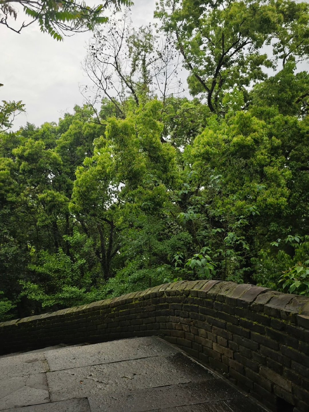 雨后的江南长城太治愈了 雨歇时分漫步古城城墙，绿植掩映、静谧闲适。江南长城自带温