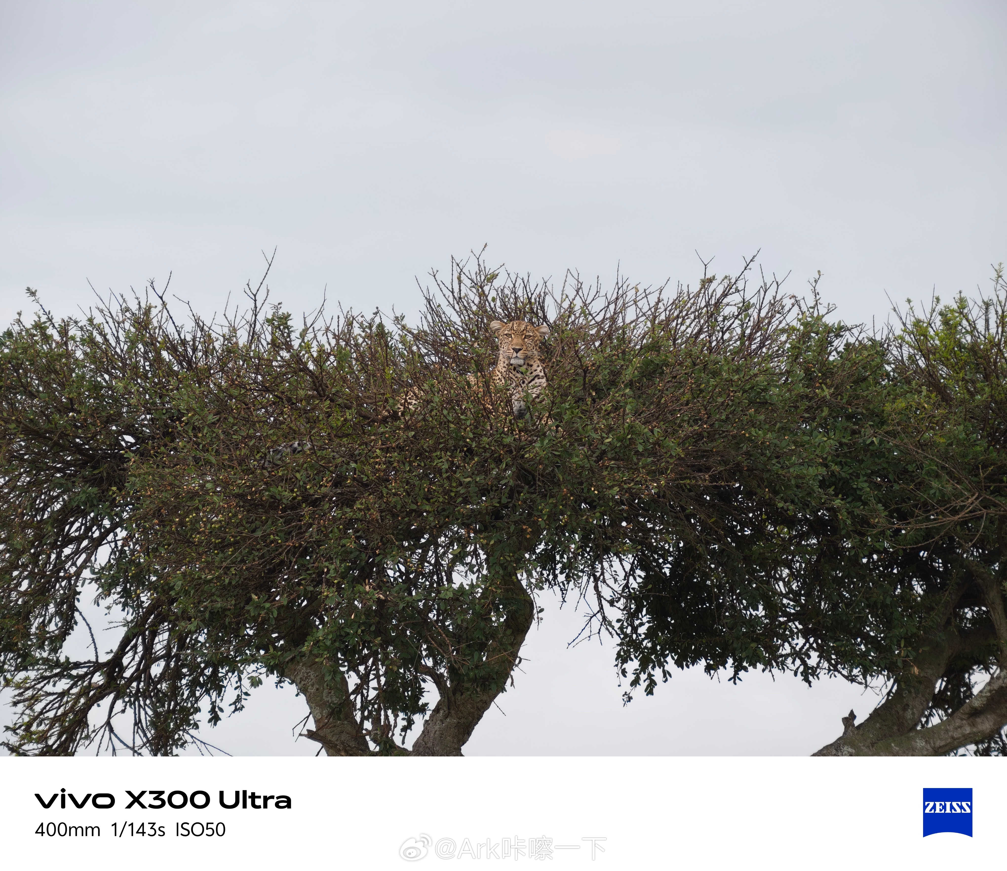 vivo发布了一台相机 蓝厂发力，势不可挡！不管是vivo X300s亦或是vi