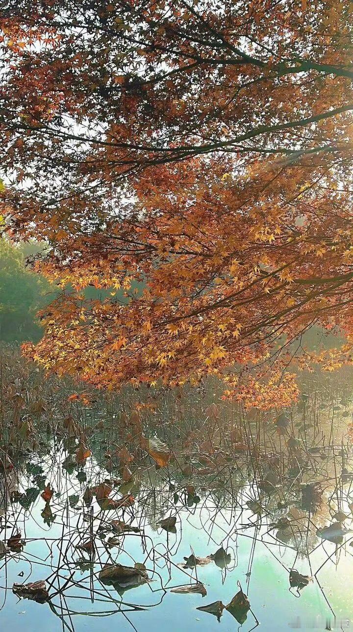 冷空气来袭浙江气温将降至冰点气温变化大，大家要注意保暖