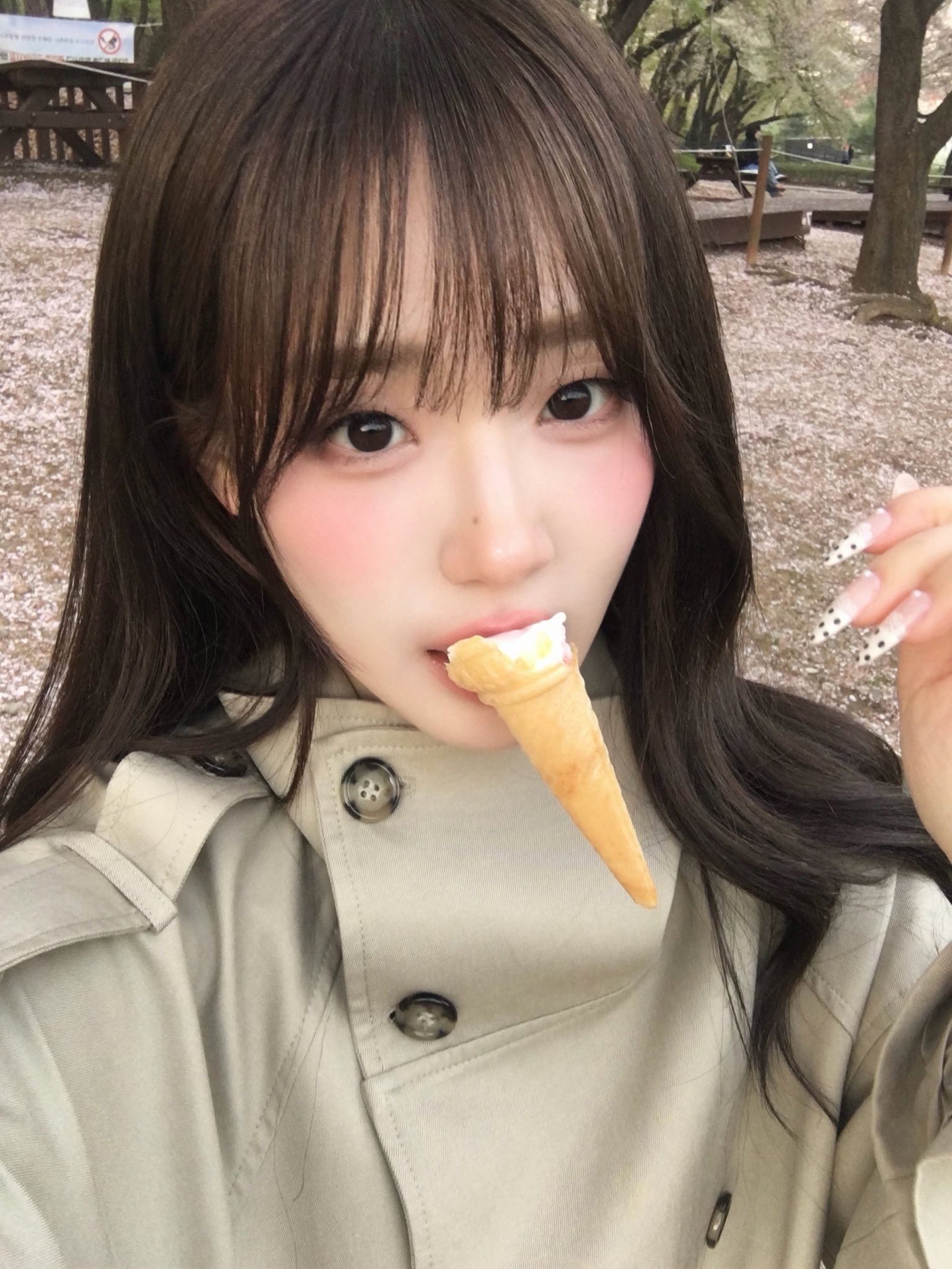 260415 tripleS SeoYeon尹舒妍 