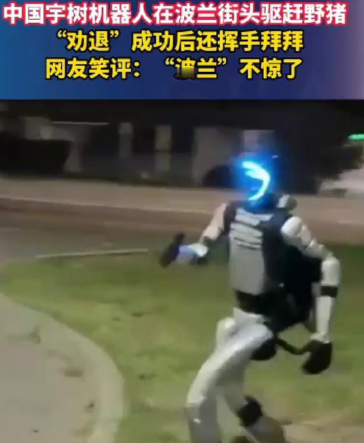 这两天我国的人形机器人刷屏了。

很多人都认为主要原因是北京又举办了一次机器人马