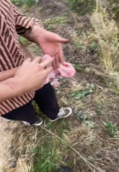 感动！河南，收割机师傅听说麦地女主人是聋哑人，丈夫又看不见。突然他做了一个决定，