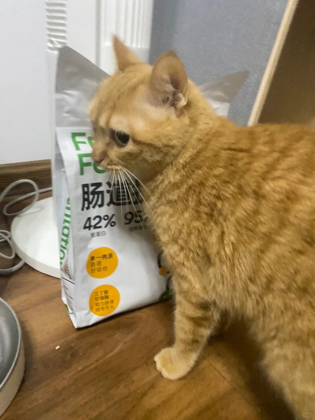 我宣布这是玻璃胃小猫的白月光！