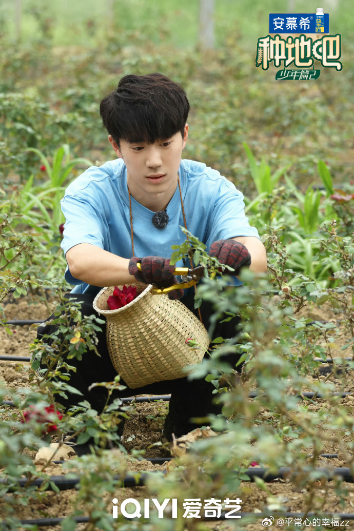 种地吧直播热点观点﻿ 丁真遇上十个勤天：这场直播，藏着顶流“务农”的终极答案3月