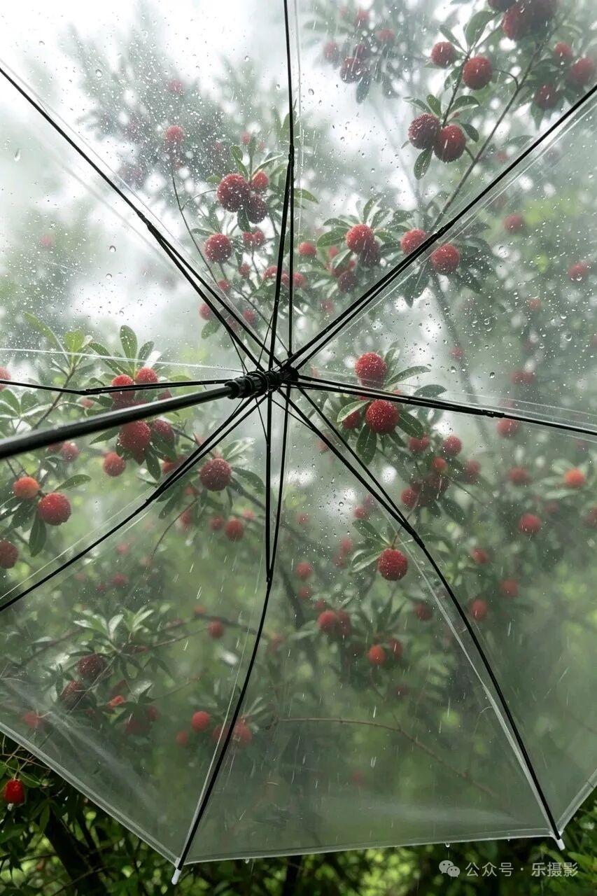 手机摄影。