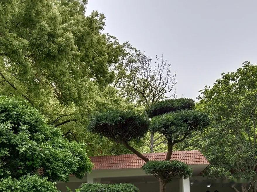 素老三的离婚是一个女人不守妇道的表现。

其一，自视甚高，以为自己是“坐家”，嫁
