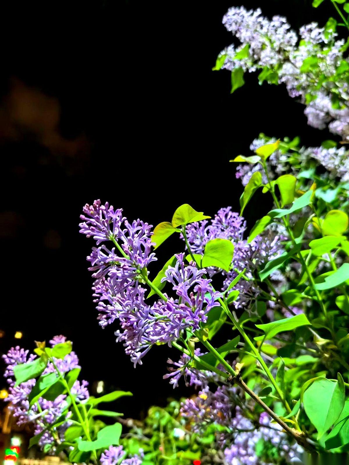 科学家新研发了一款武器，代号TACK。
在实验室里，它对HIV感染细胞的屠杀率，