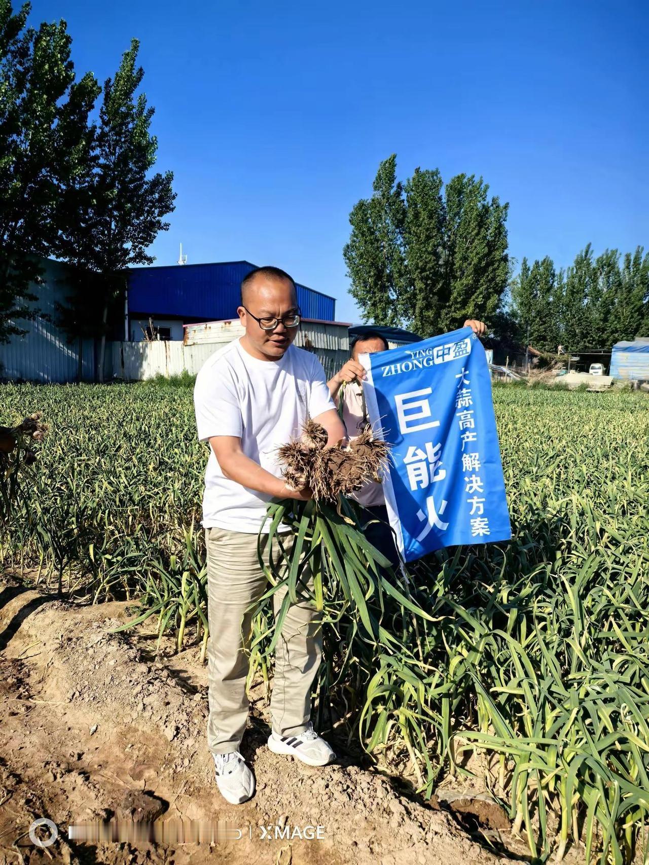 济南商河白桥