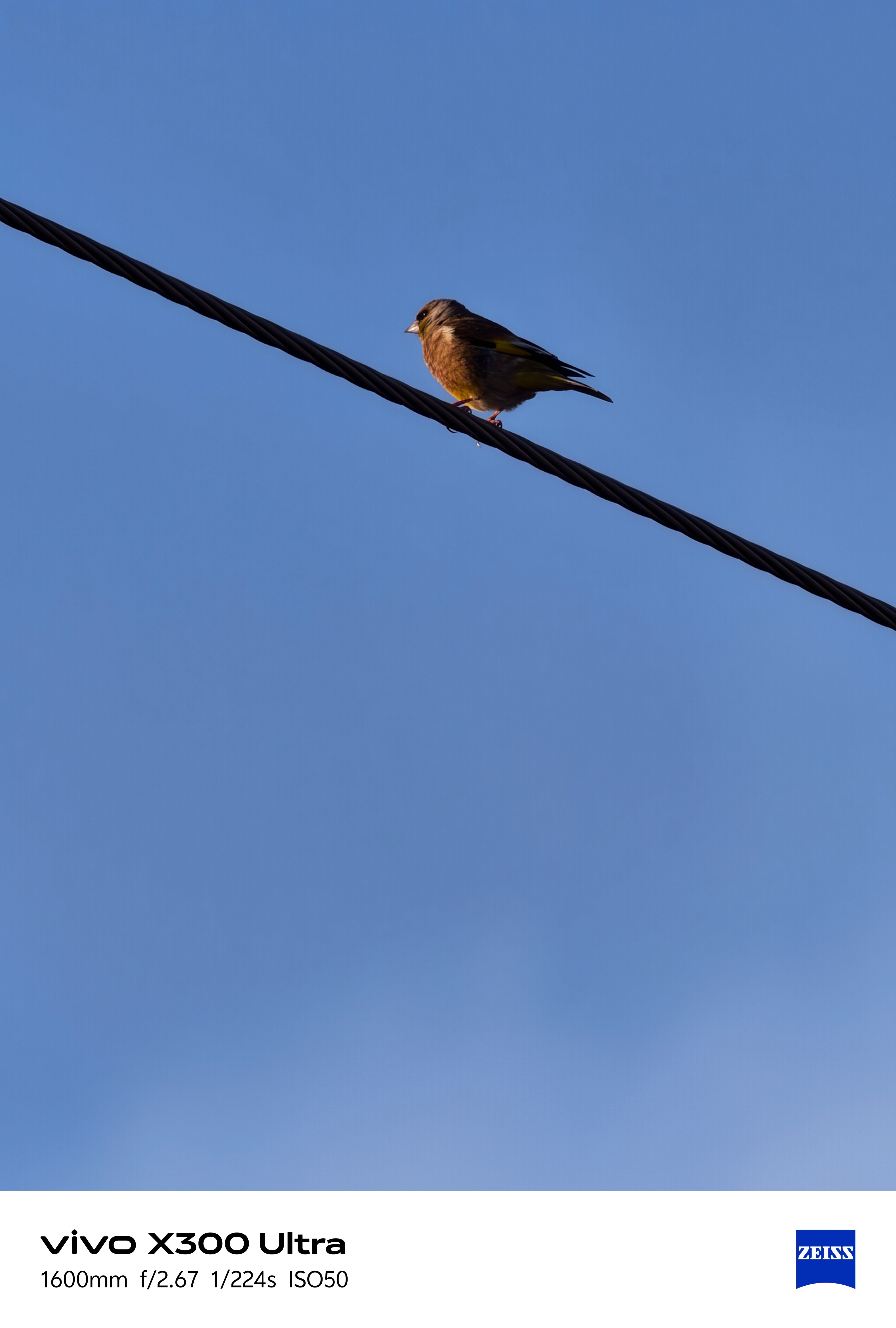 x300Ultra随手一拍 