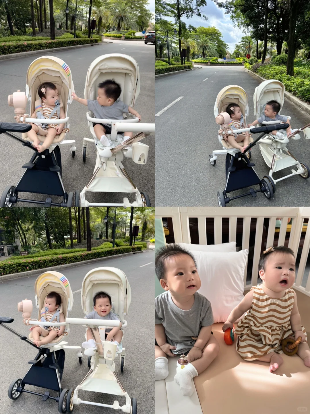 “龙凤胎”的快乐我体会到了！