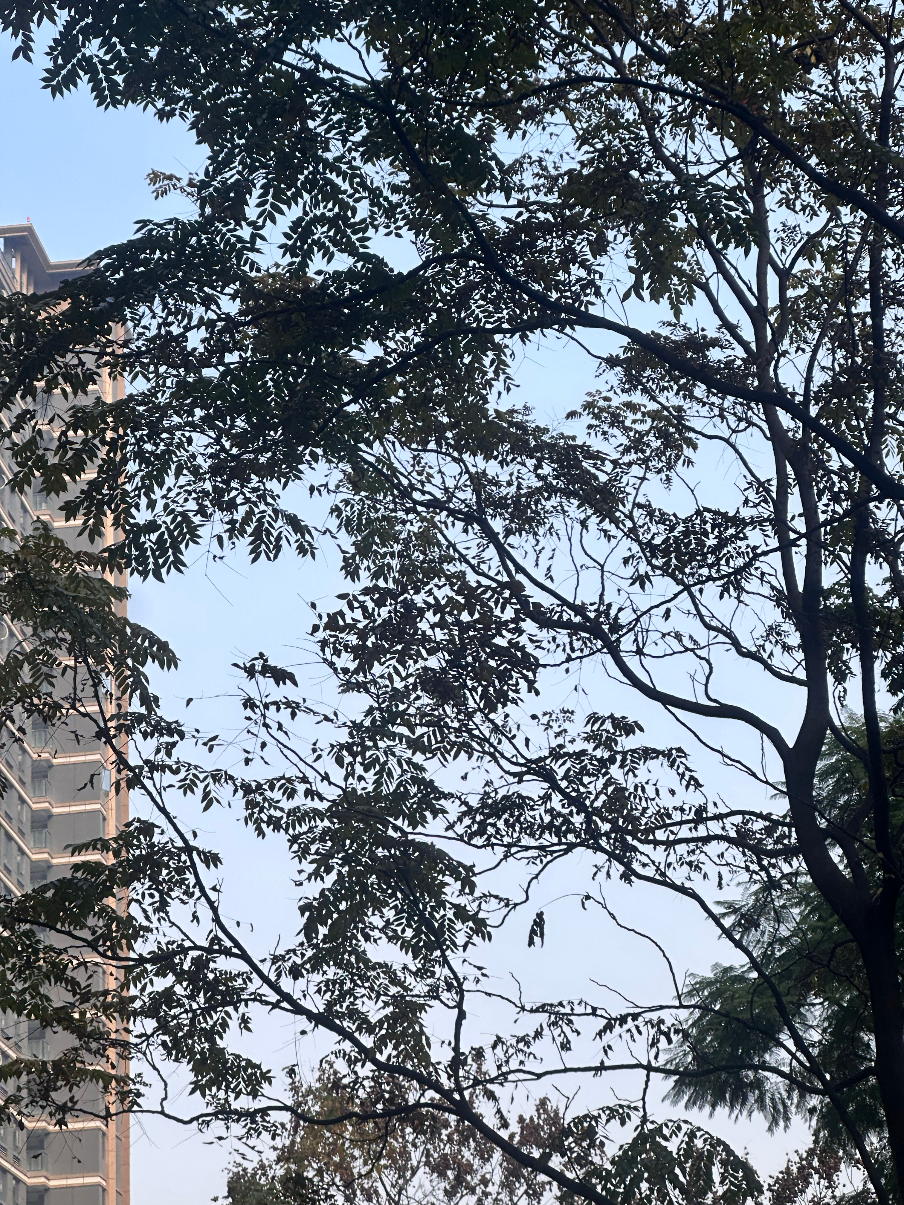 一个人过一下午