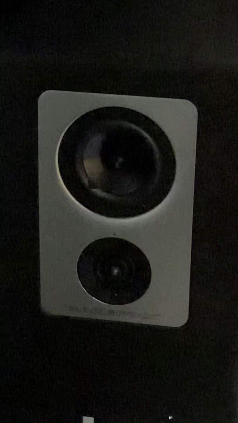 张子墨今日创作张子墨的字 没到100岁就都是小朋友🥺 