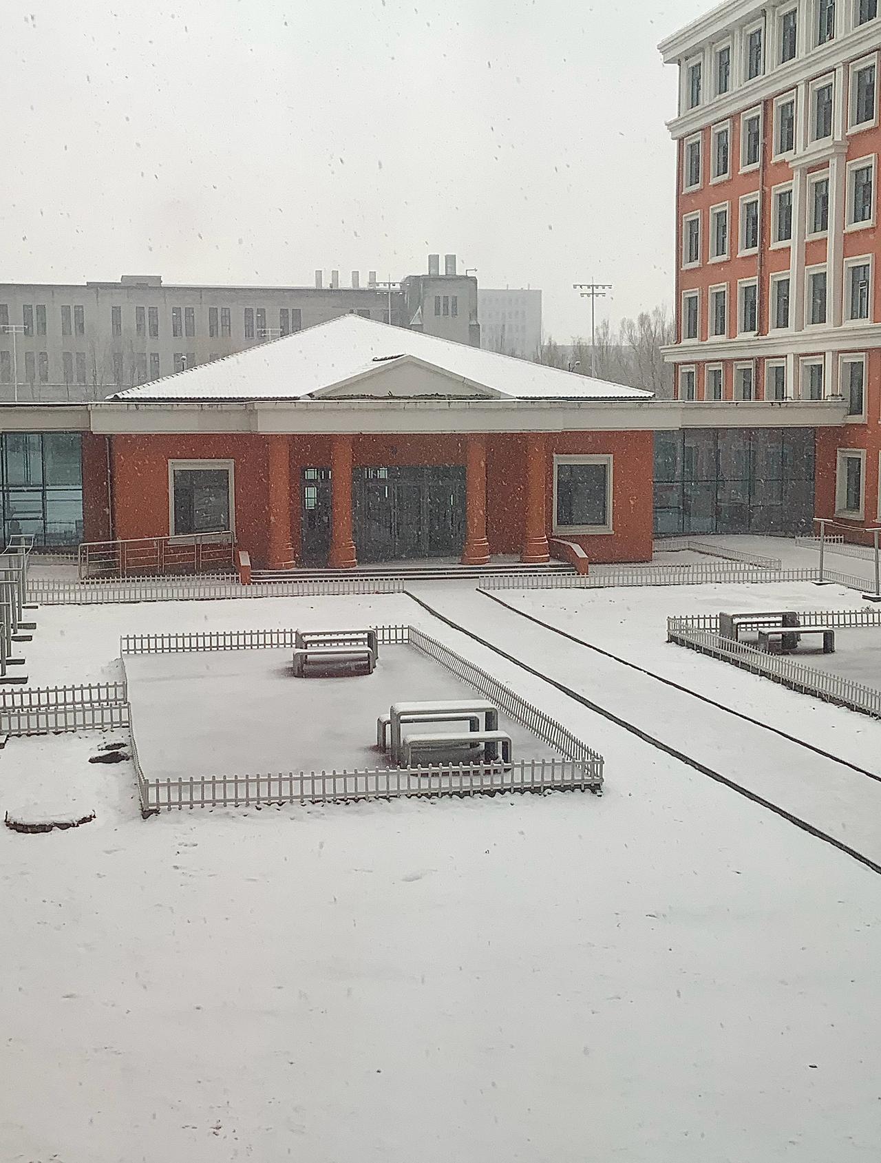 我就说今天咋嗷嗷冷嗷嗷冷的 又下雪了。 ​​​