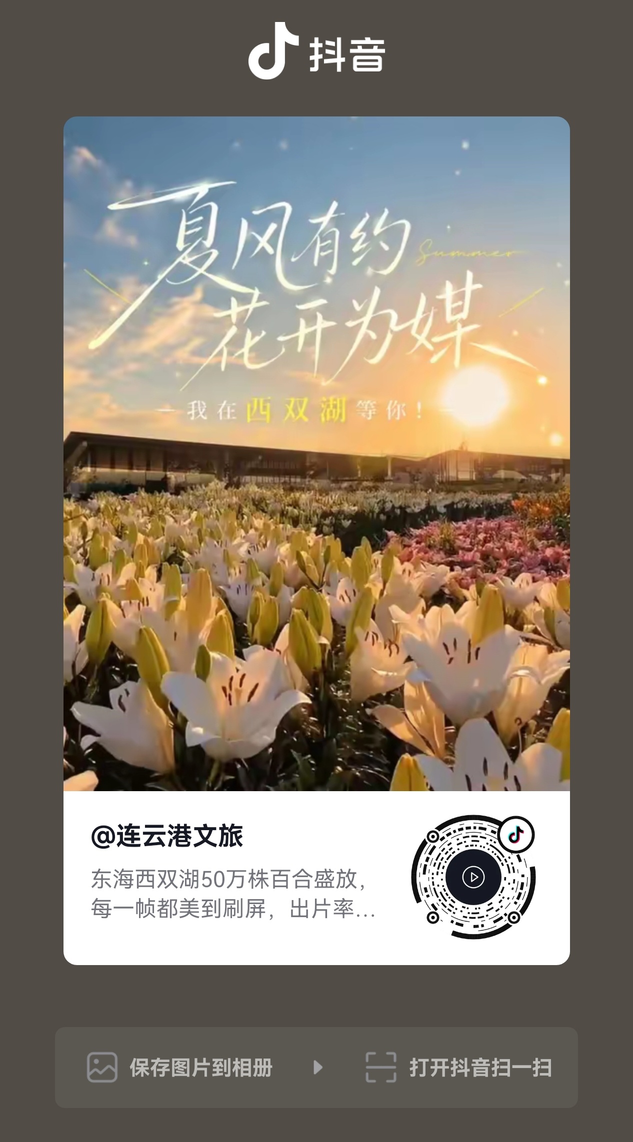 下沉连云港文旅用梓渝《宇宙游乐场》宣传来速度＋热👍上5000 