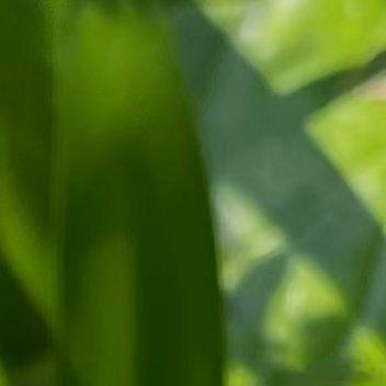 努力是一件需要沉下心来、长久坚持的事；它成长的土壤要求孤独奋斗，当你发自内心想做