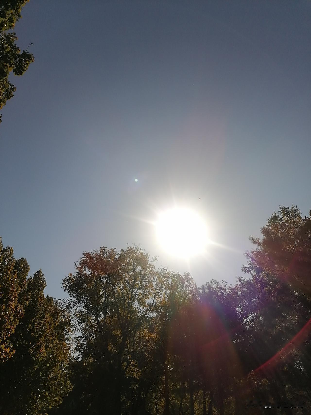 九十岁的老人，走完了他坎坷的一生。走时安静平和，没留下一句话，甚至没能睁眼看一下