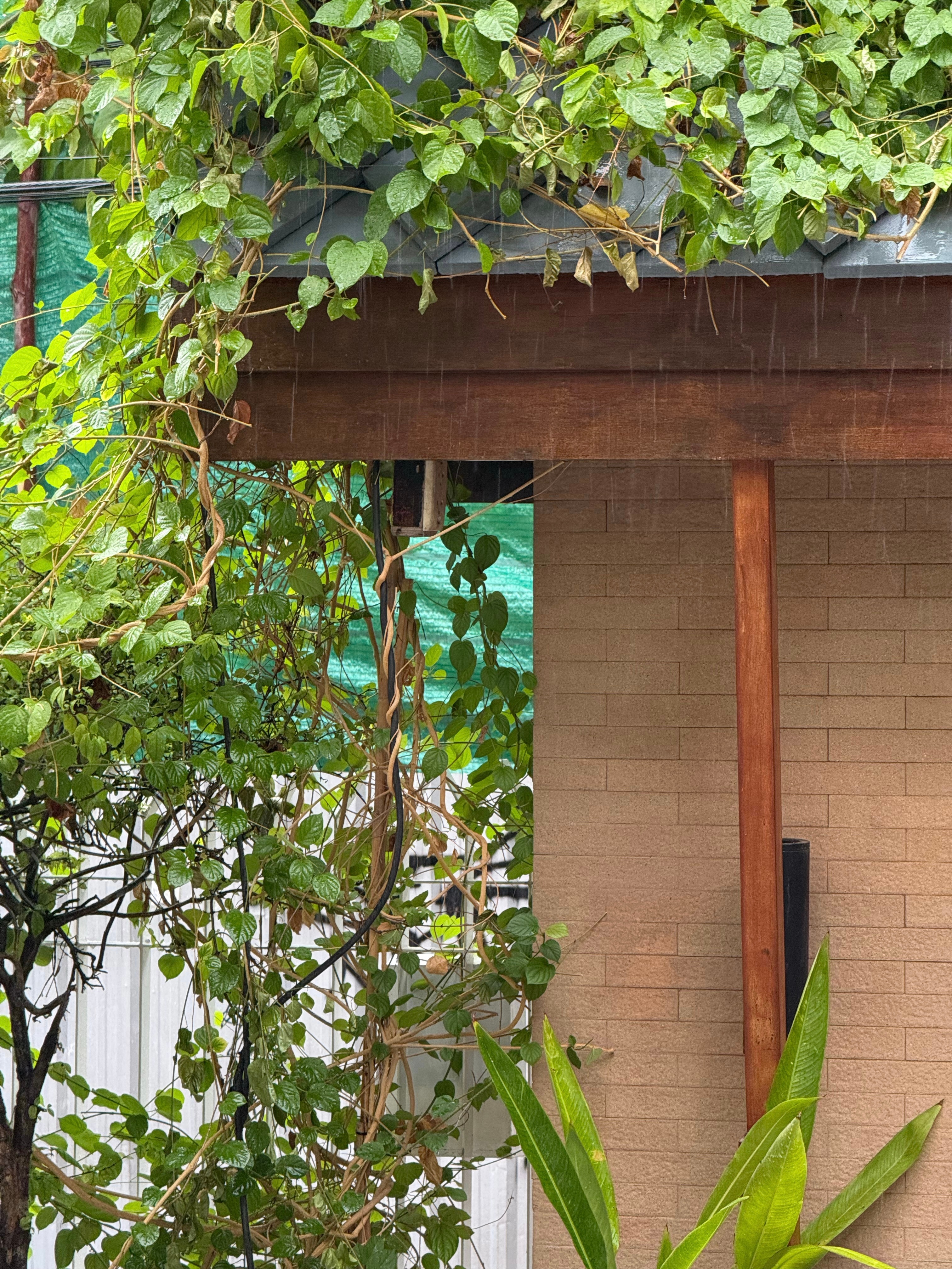 The rainy season in Bangkok生活手记