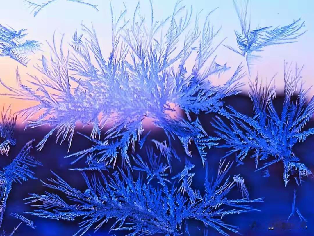 天南地北大拜年