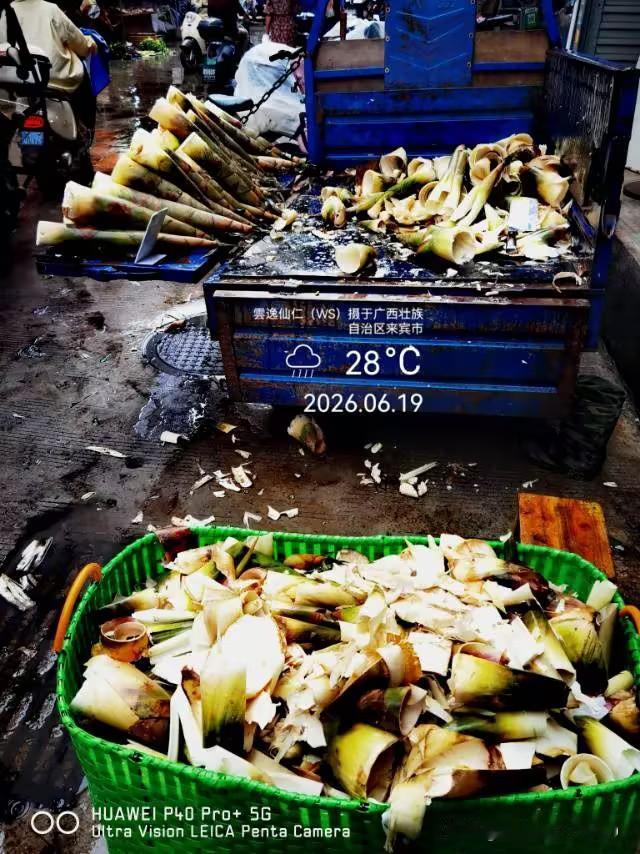 月居生活记录（9951）广西壮族自治区来宾市（176）： 鲜笋、凉席、棉花等。