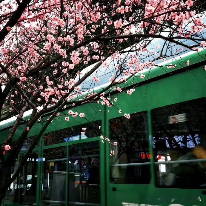 𝑮𝒓𝒆𝒆𝒏 💚𓐜
“ 很多事没有来日方长，你要现在就快乐。” ​​