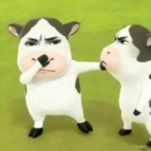 试用了n次才知道的冷知识实用小知识打卡，每天学一个超受用 