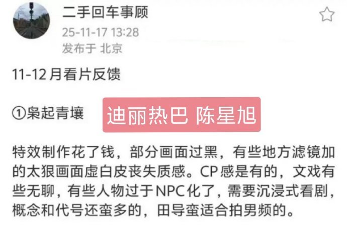 新一波看片repo迪丽热巴 陈星旭《枭起青壤》：滤镜稍重，部分配角略NPC，得沉